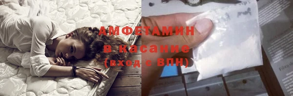 дмт Бородино
