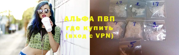 дмт Бородино