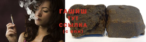 дмт Бородино