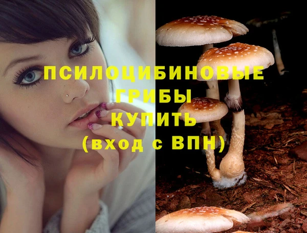 дмт Бородино