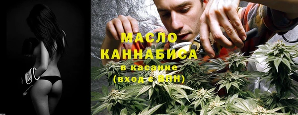 дмт Бородино