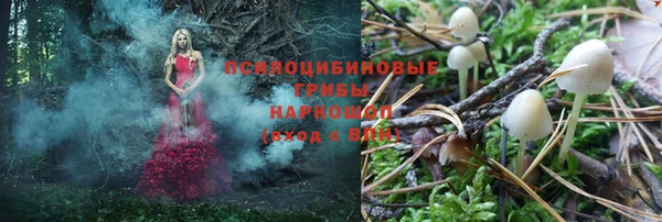 дмт Бородино